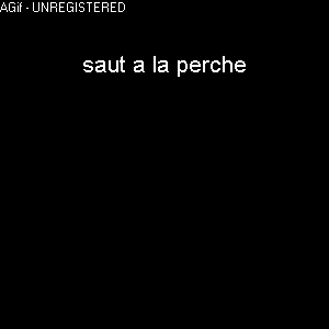le saut a la perche